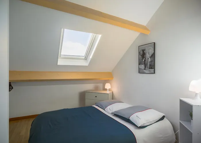 Duplex Pasteur - 3 - Privee * Troyes